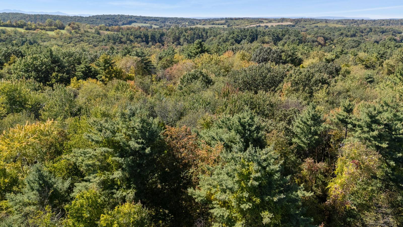 #8 photo, 0 Albany Tpke, Old Chatham , NY 12136