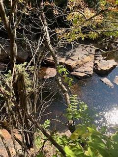 #38 photo, 1040 Piseco Rd, Stratford , NY 13470