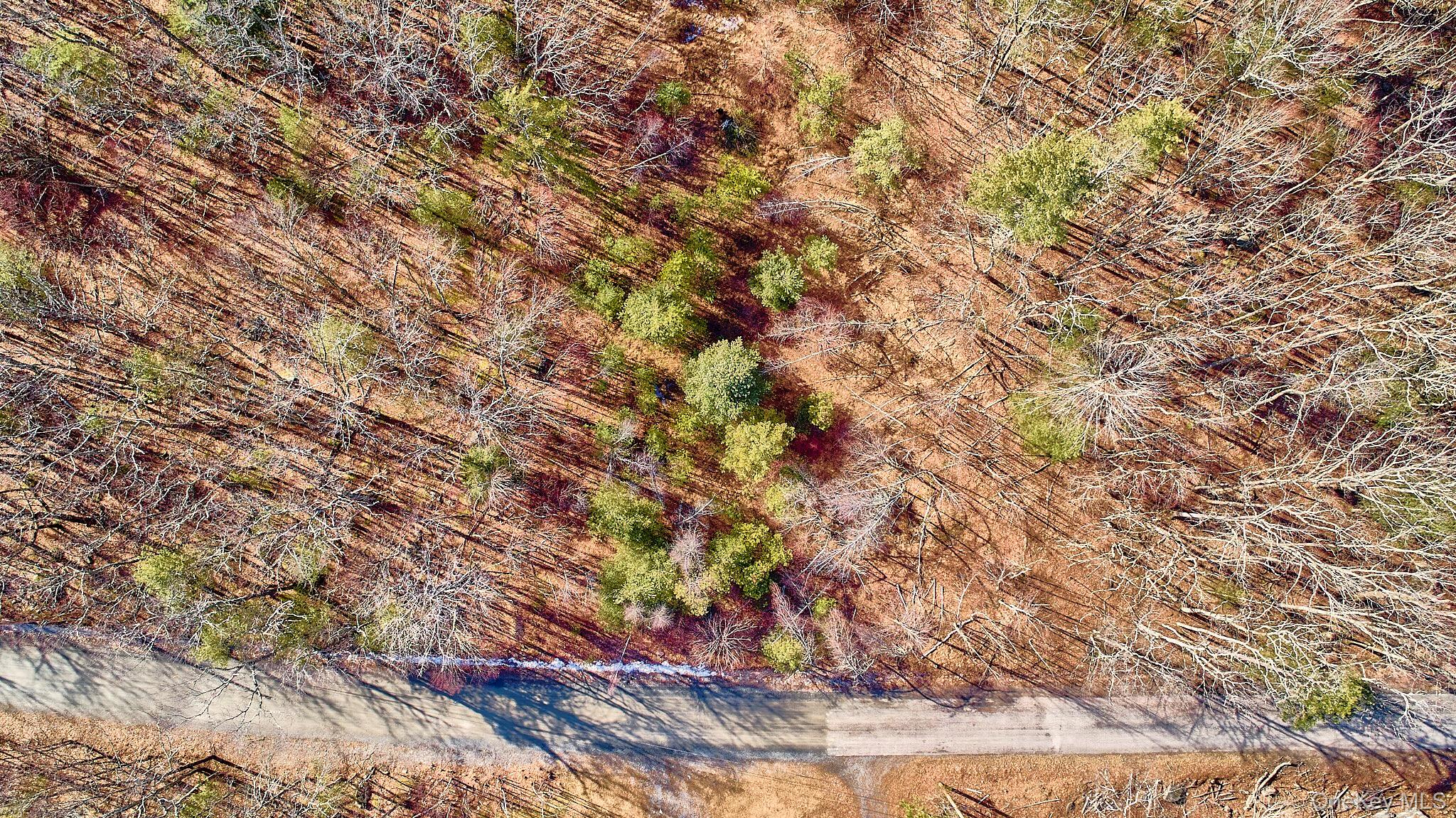 #10 photo, Lot 1 Zane Grey Way, Barryville , NY 12719