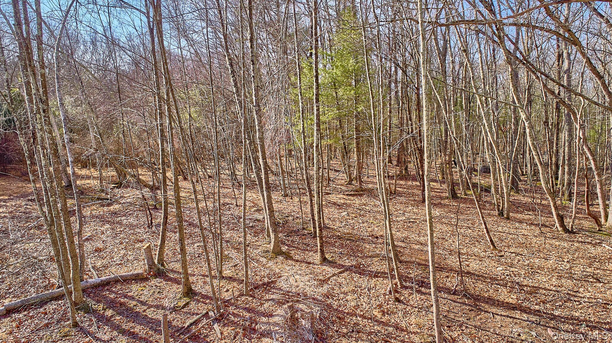 #13 photo, Lot 1 Zane Grey Way, Barryville , NY 12719