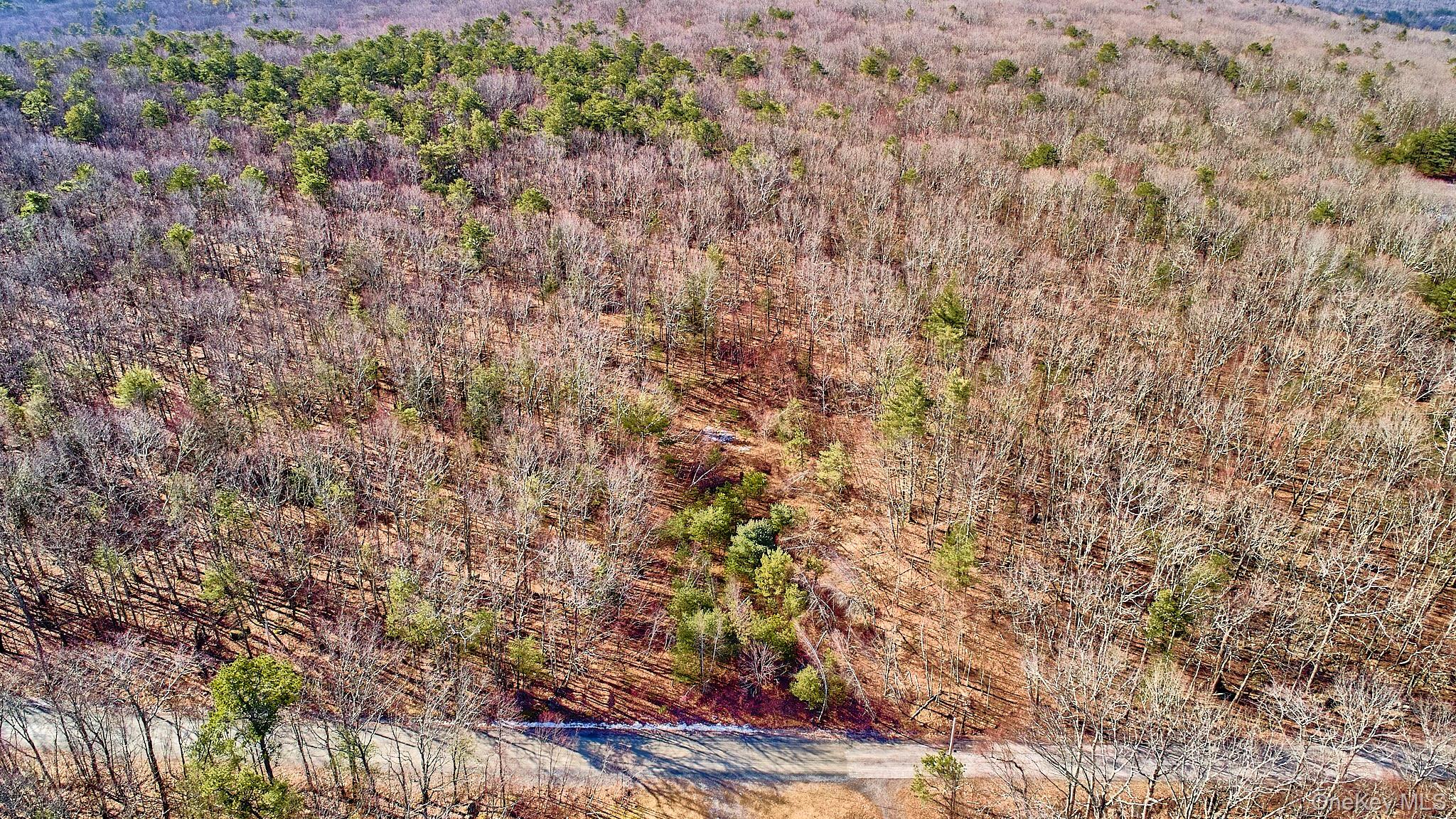 #8 photo, Lot 1 Zane Grey Way, Barryville , NY 12719