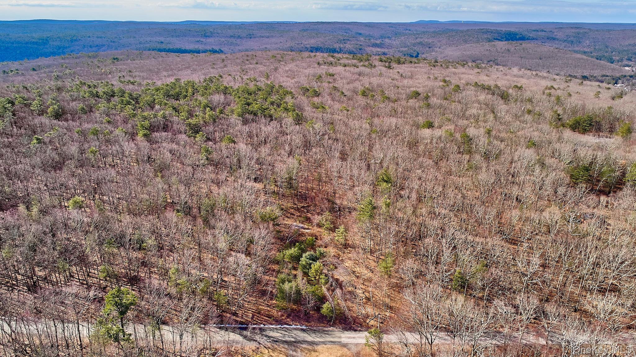 #9 photo, Lot 1 Zane Grey Way, Barryville , NY 12719