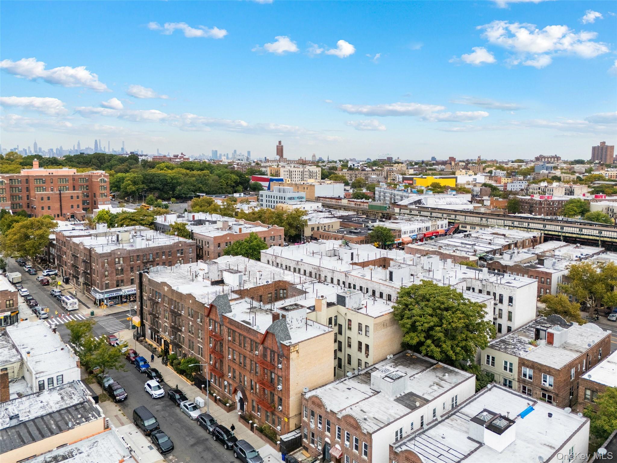 #4 photo, 99 E 96th Street, Brooklyn , NY 11212