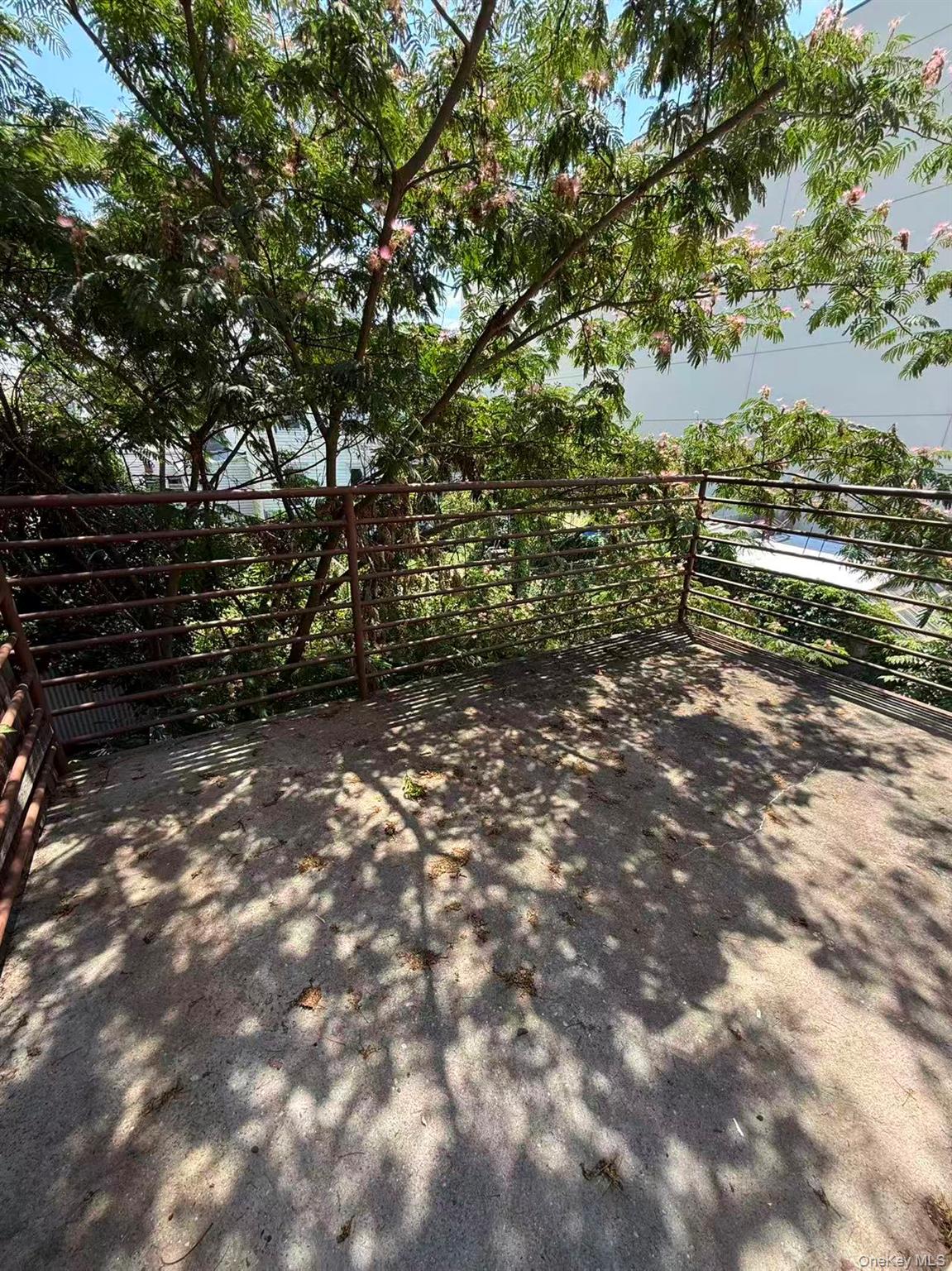 #11 photo, 1624 Summerfield Street, クイーンズ区 Ridgewood , NY 11385