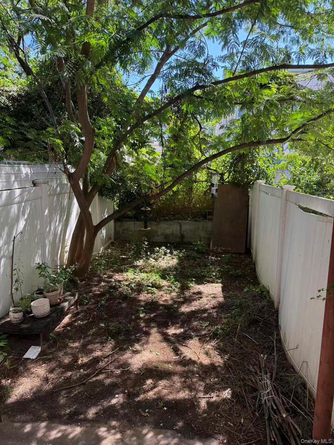 #15 photo, 1624 Summerfield Street, クイーンズ区 Ridgewood , NY 11385