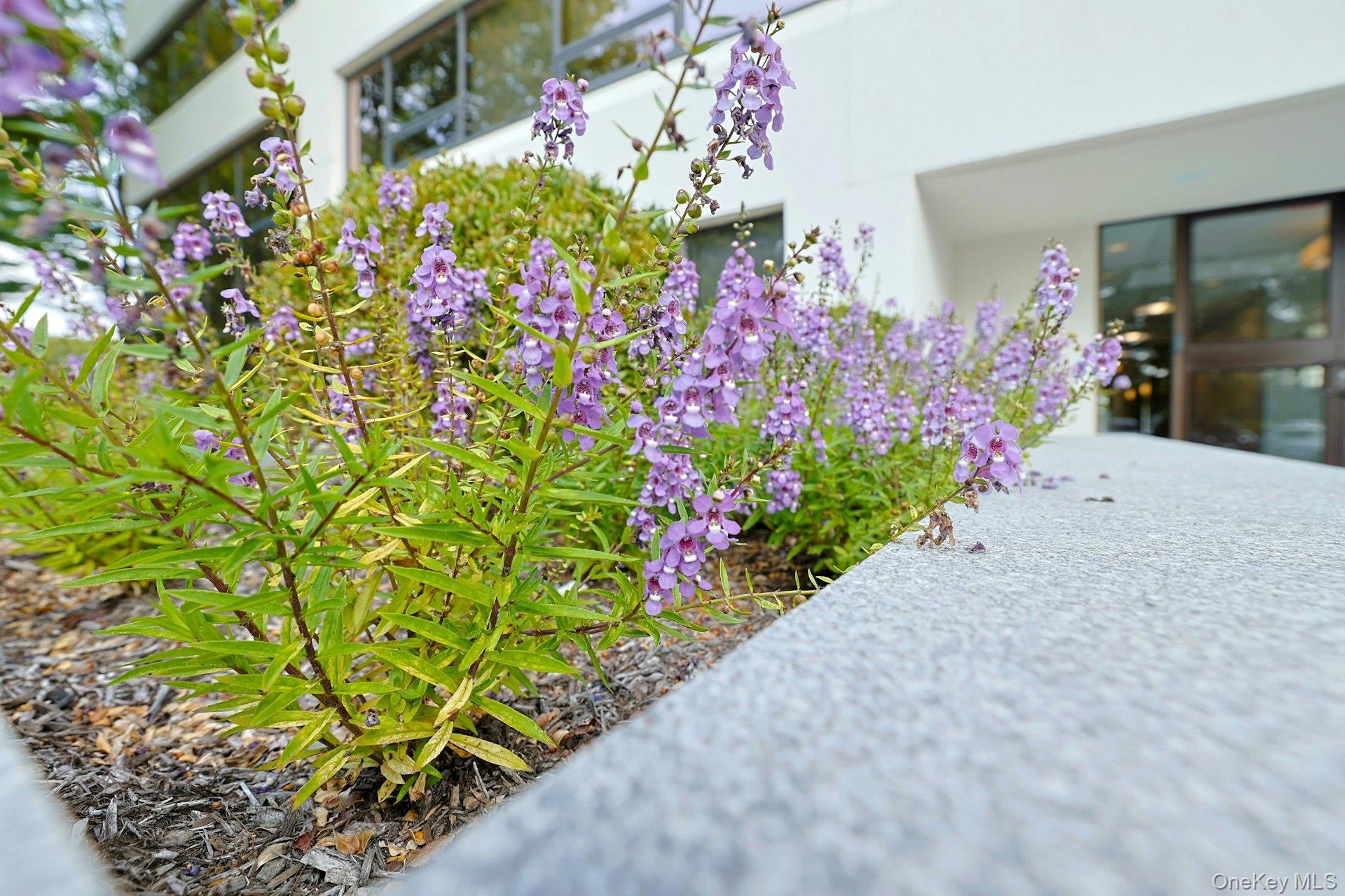 #4 photo, 80 Business Park Drive, Armonk , NY 10504