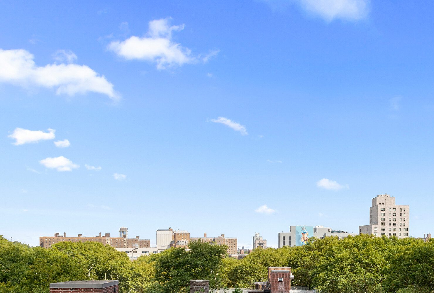 #5 photo, 176 JOHNSON Street, ブルックリン区 Downtown Brooklyn , NY 11201