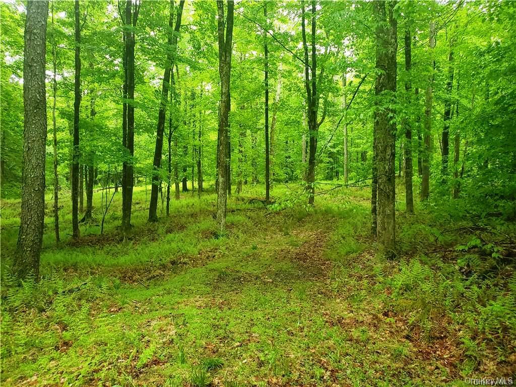 #12 photo, TBD Creamery Road, Mongaup Valley , NY 12720