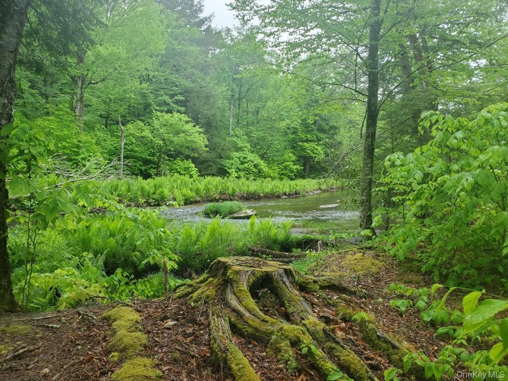 #3 photo, TBD Creamery Road, Mongaup Valley , NY 12720