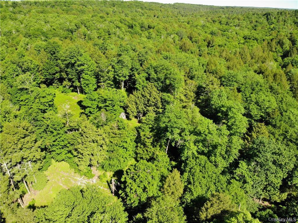 #7 photo, TBD Creamery Road, Mongaup Valley , NY 12720