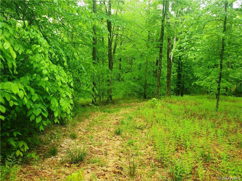 #8 photo, TBD Creamery Road, Mongaup Valley , NY 12720