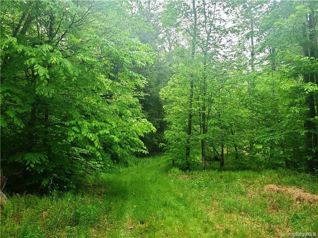 #9 photo, TBD Creamery Road, Mongaup Valley , NY 12720