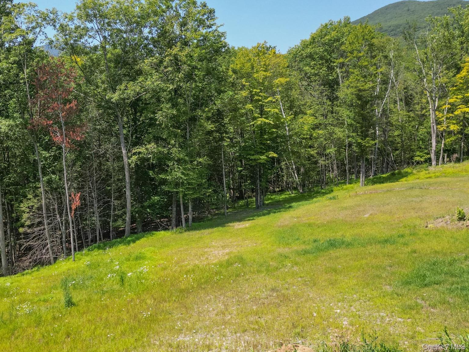 #2 photo, 61 Hillside Drive, Shokan , NY 12494