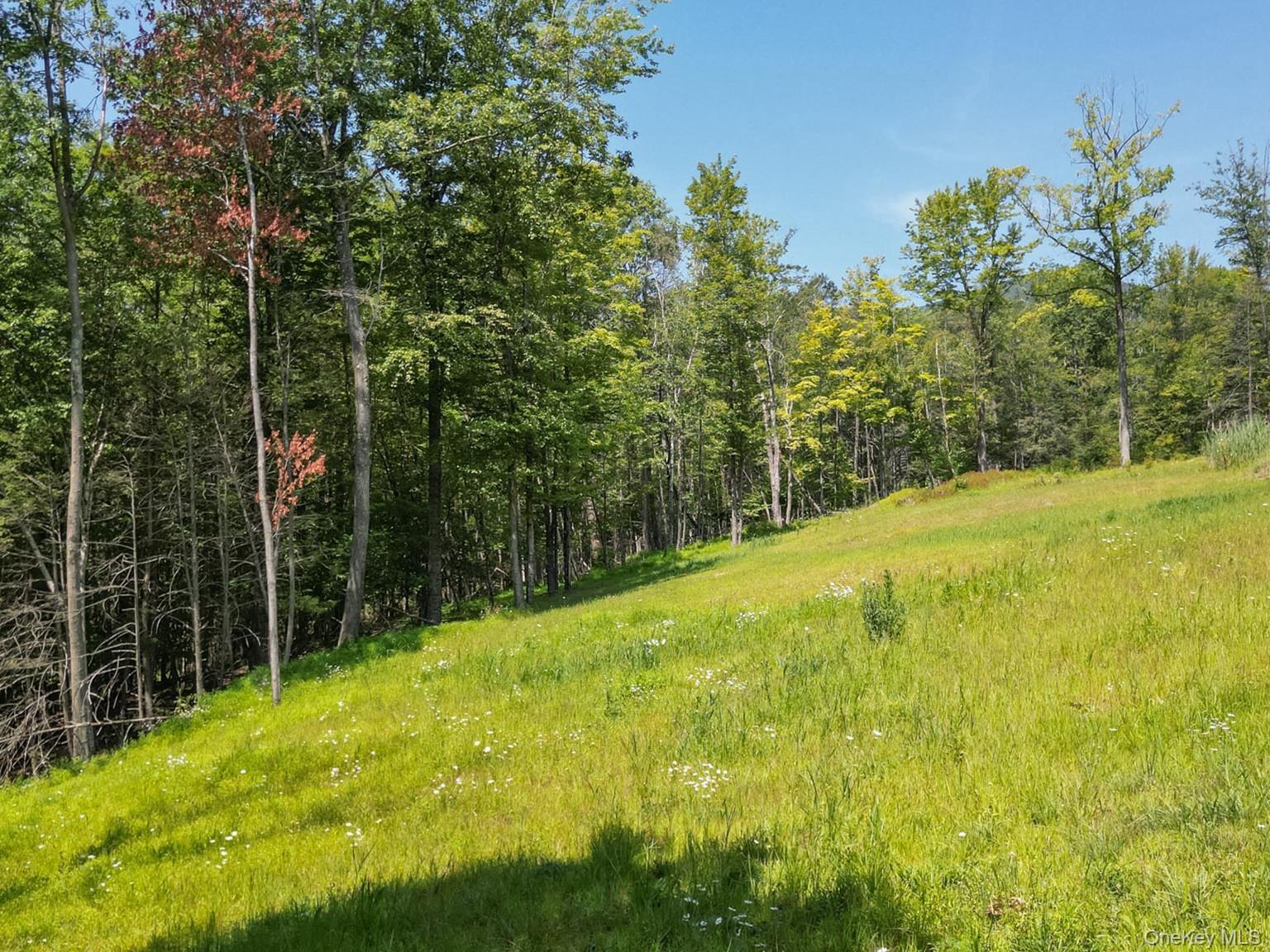 #4 photo, 61 Hillside Drive, Shokan , NY 12494