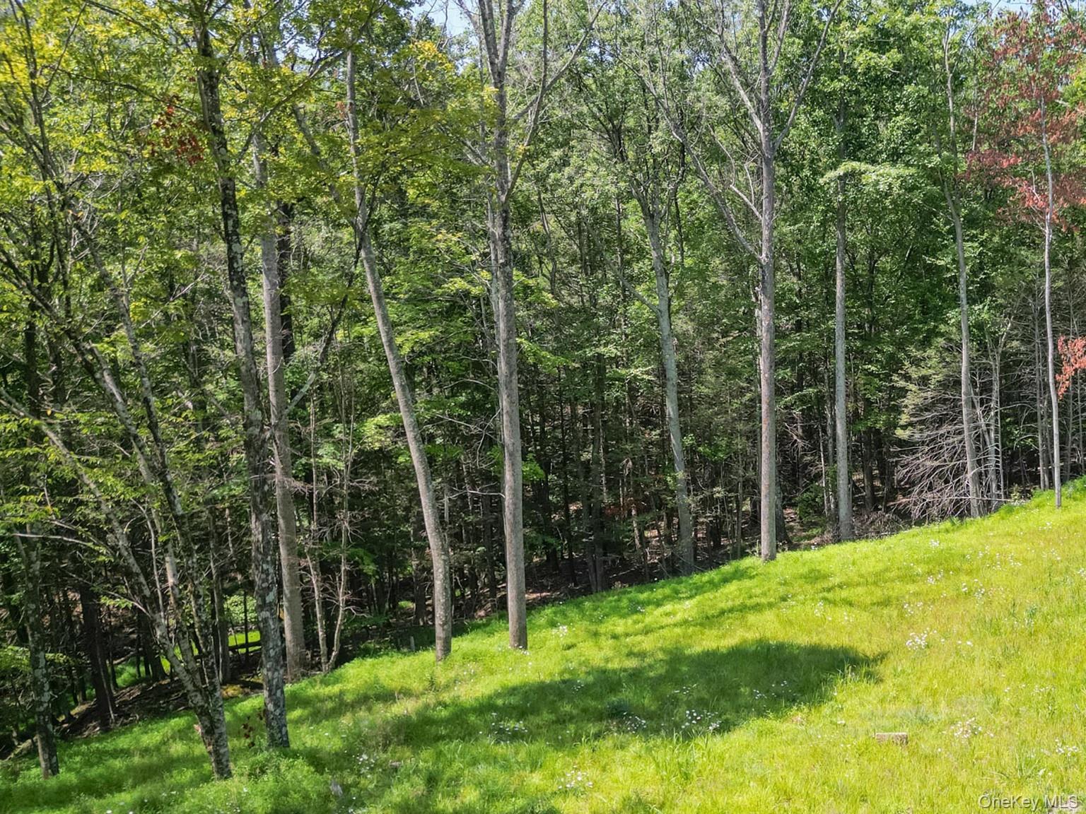 #5 photo, 61 Hillside Drive, Shokan , NY 12494