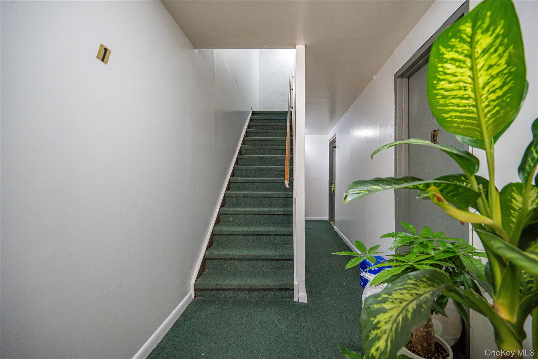 #5 photo, 53-37 97 Street, クイーンズ区 Corona , NY 11368