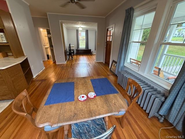 #6 photo, 38 Winslow Place, Liberty , NY 12754