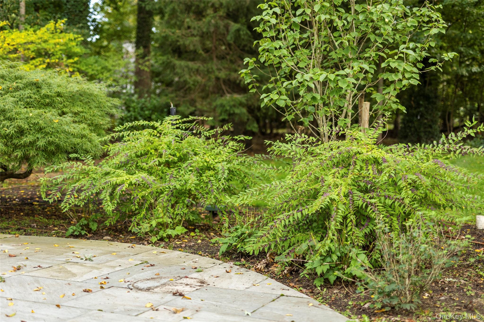 #18 photo, 7 Smith Lane, サフォーク郡 Nissequogue , NY 11780