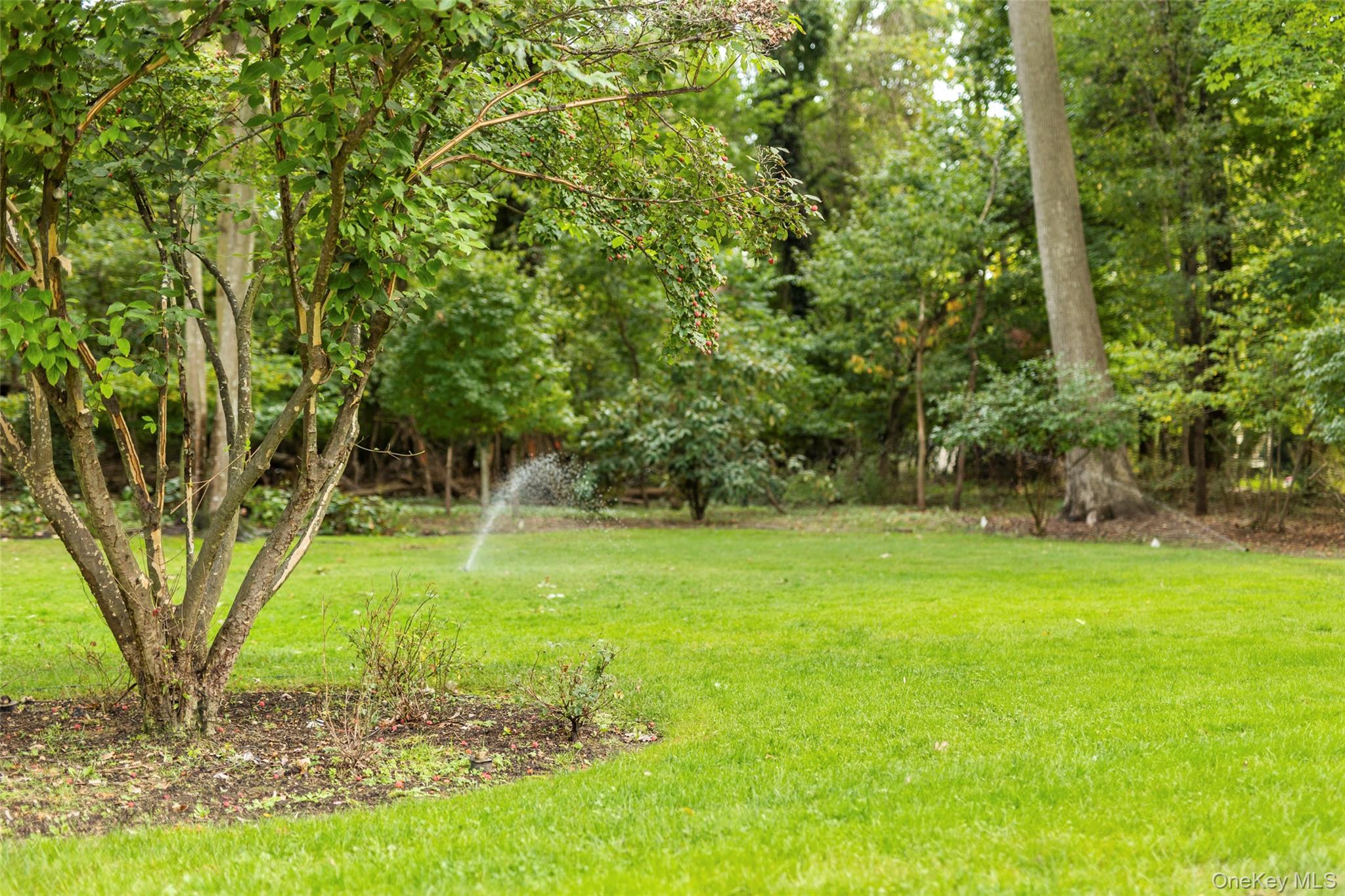 #19 photo, 7 Smith Lane, サフォーク郡 Nissequogue , NY 11780