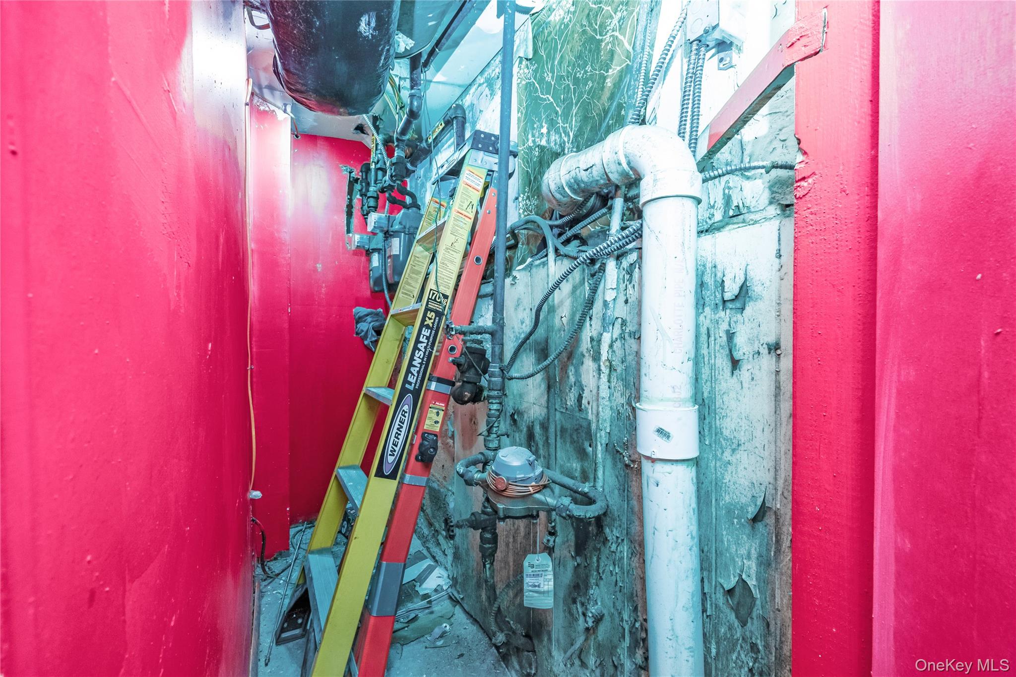 #13 photo, 86-35 77th Street, クイーンズ区 Woodhaven , NY 11421