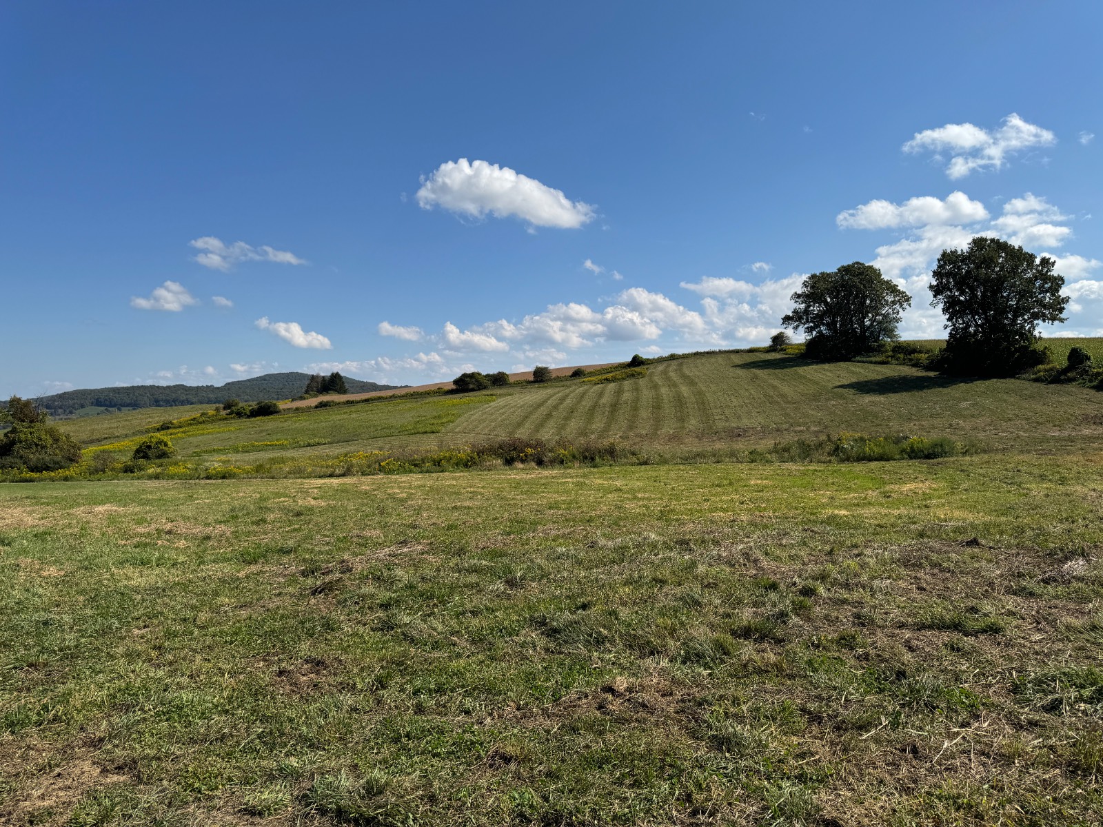 #31 photo, 262 Van Alstine Rd, Springfield Center , NY 13333