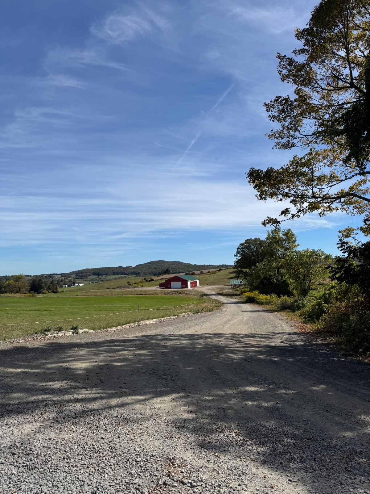 #32 photo, 262 Van Alstine Rd, Springfield Center , NY 13333