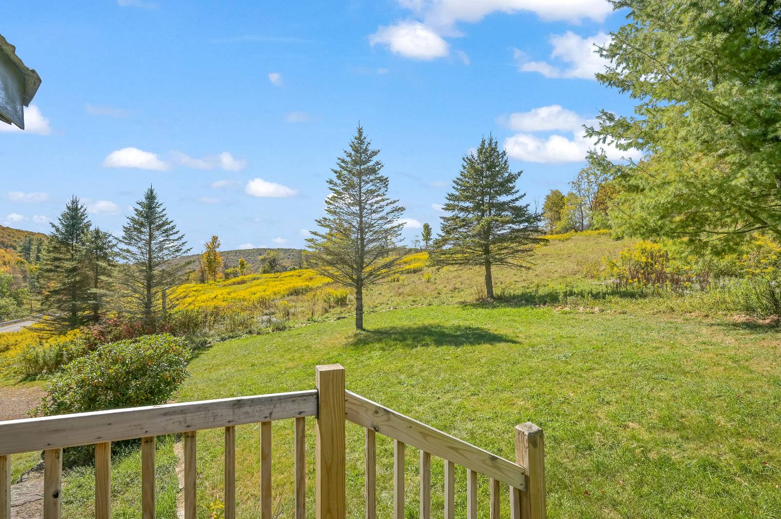 #56 photo, 2877 County Highway 5, Bovina , NY 13740