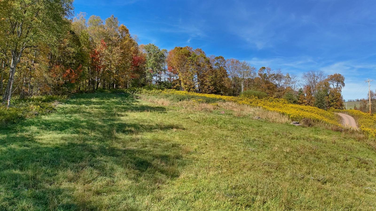 #67 photo, 2877 County Highway 5, Bovina , NY 13740