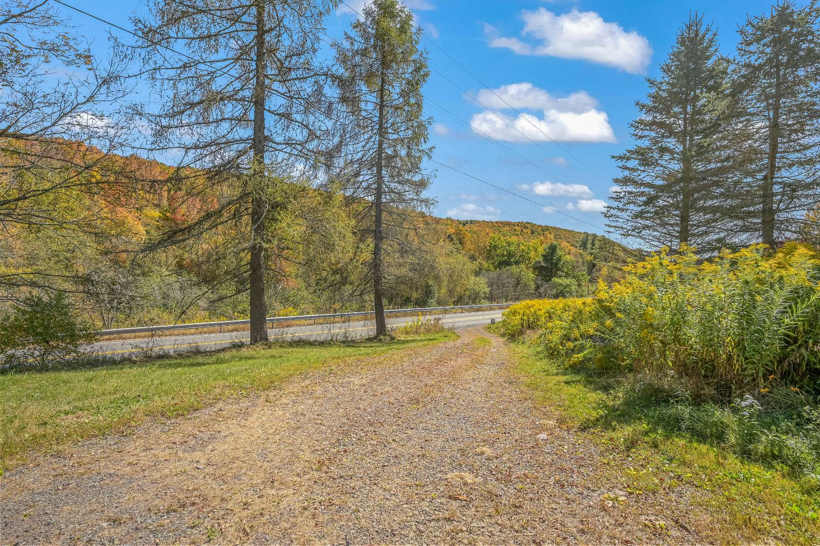 #68 photo, 2877 County Highway 5, Bovina , NY 13740