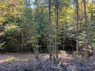 #13 photo, 105 Red House Rd, Stratford , NY 13470