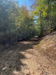 #15 photo, 105 Red House Rd, Stratford , NY 13470