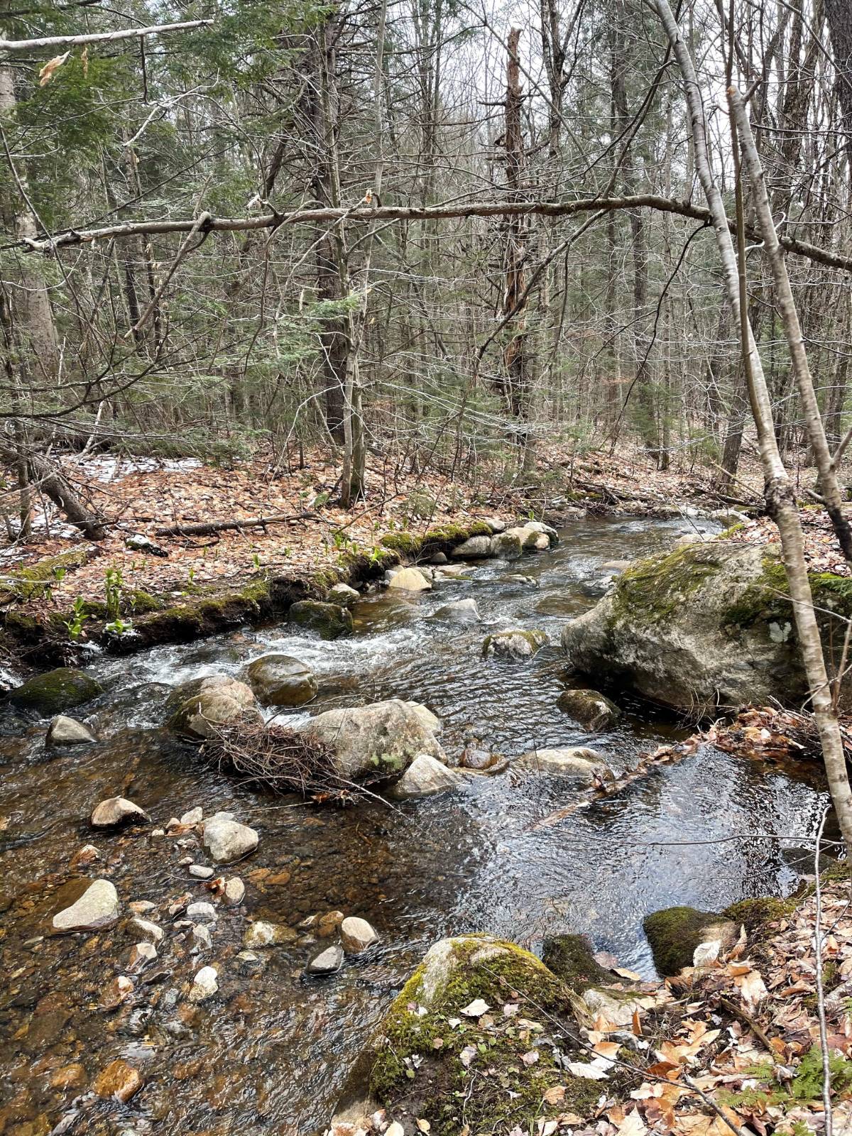 #2 photo, 105 Red House Rd, Stratford , NY 13470