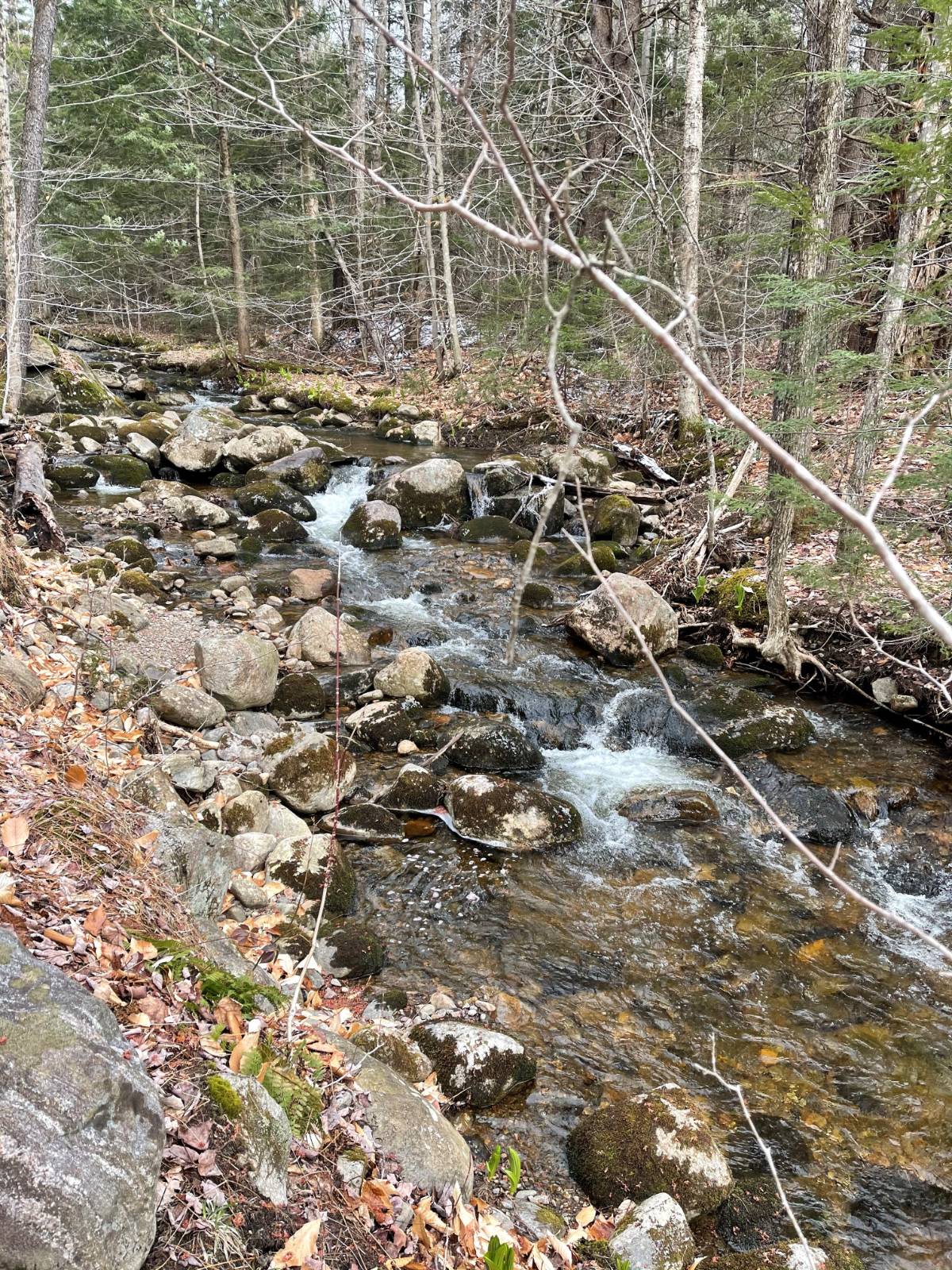 #3 photo, 105 Red House Rd, Stratford , NY 13470