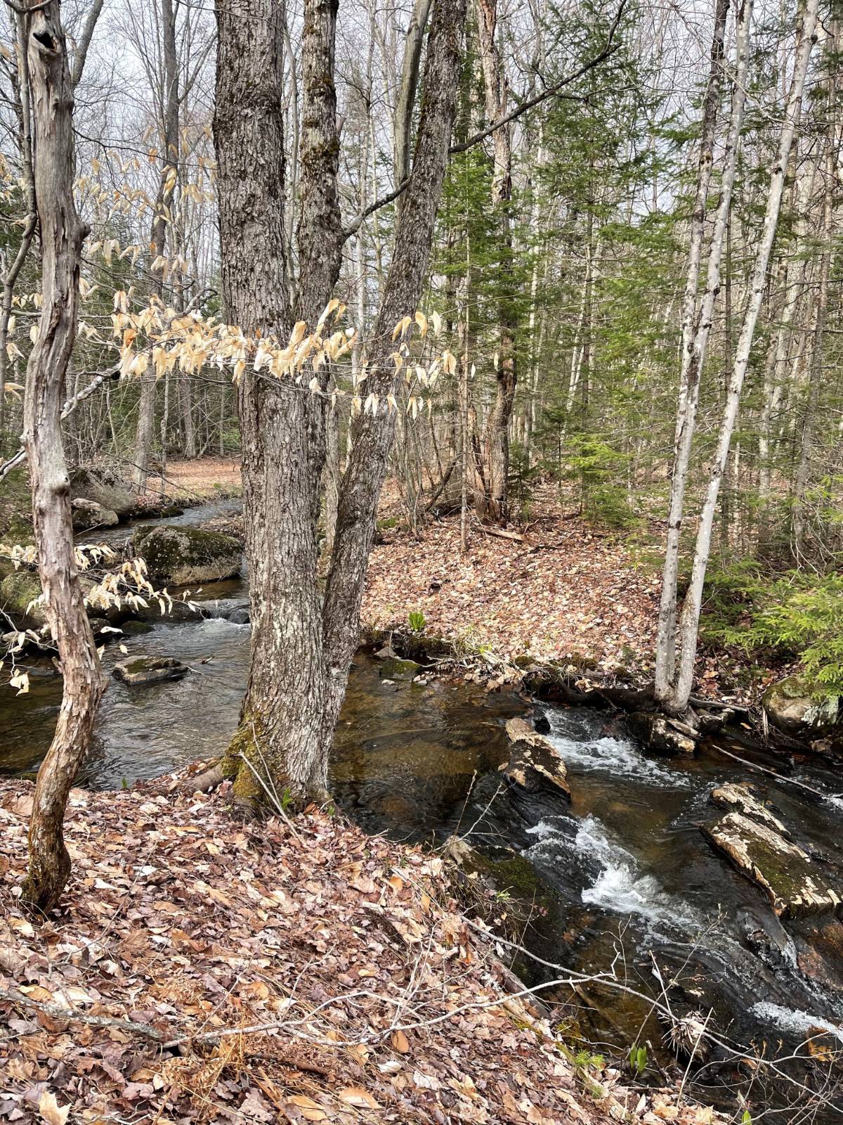 #4 photo, 105 Red House Rd, Stratford , NY 13470