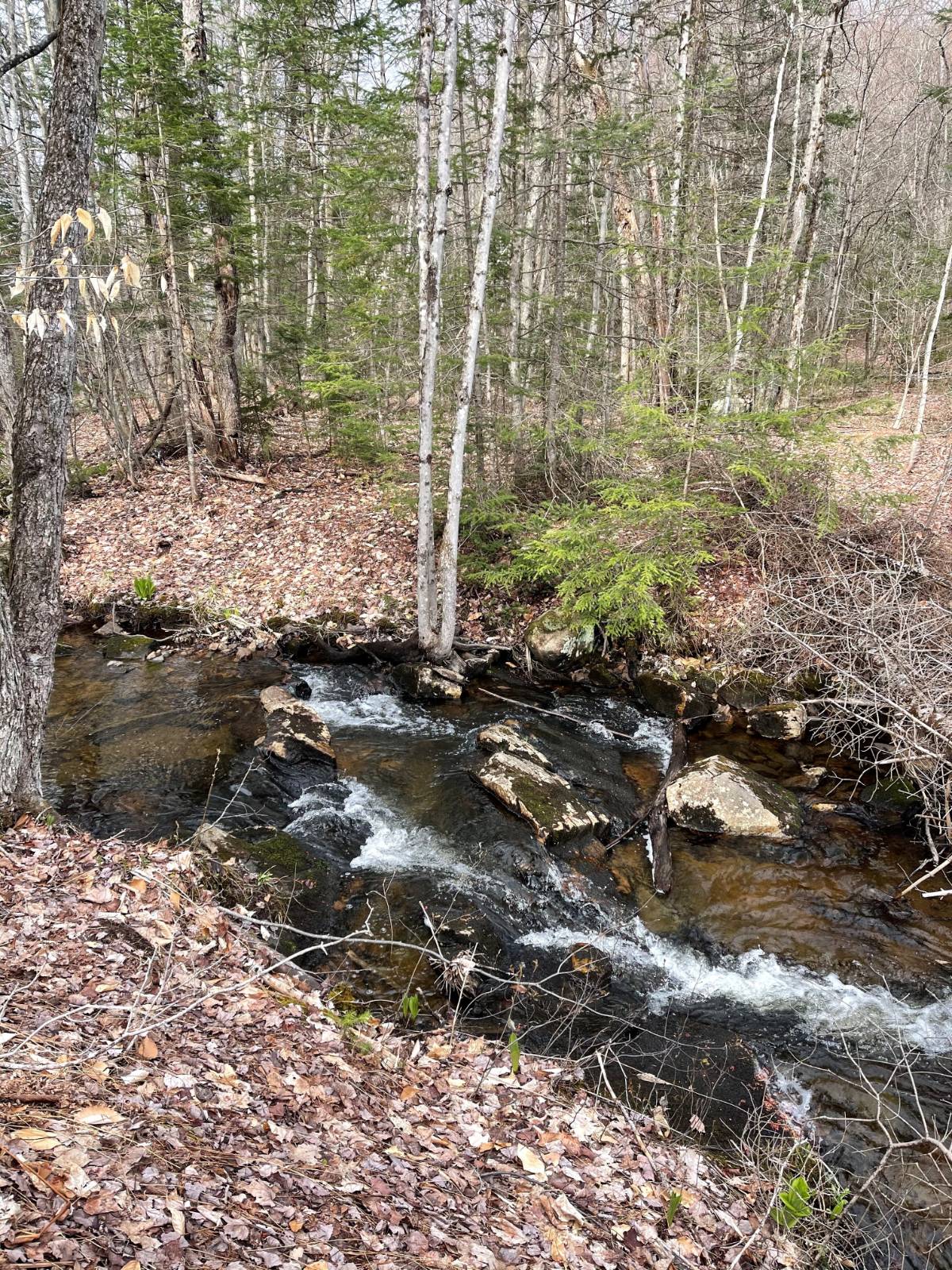 #5 photo, 105 Red House Rd, Stratford , NY 13470