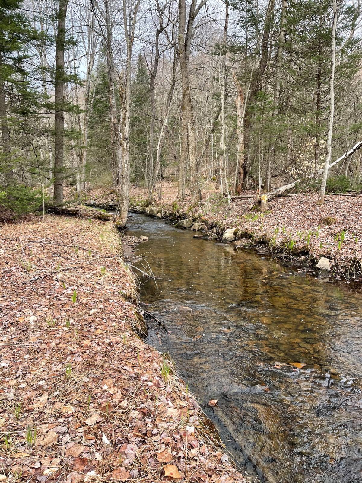 #6 photo, 105 Red House Rd, Stratford , NY 13470