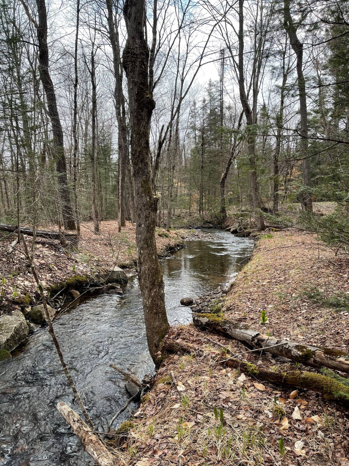 #7 photo, 105 Red House Rd, Stratford , NY 13470