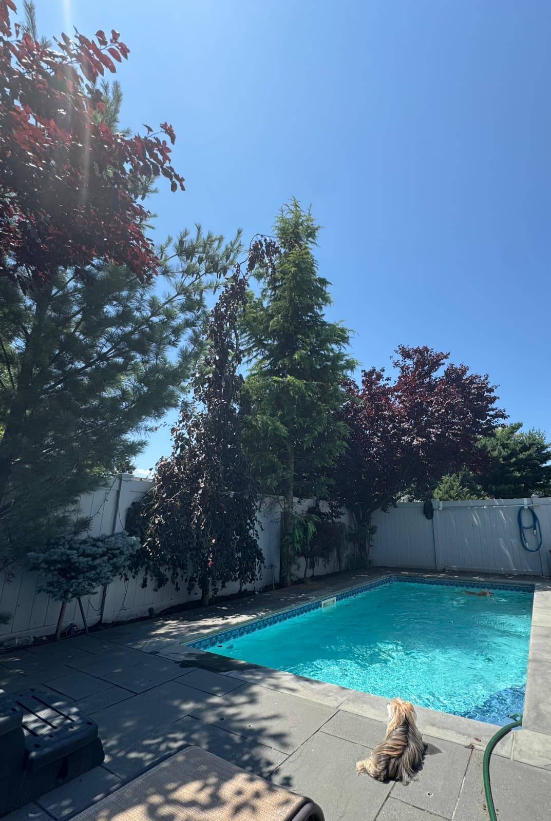 #20 photo, 211-22 34th Rd, Bayside , NY 11361