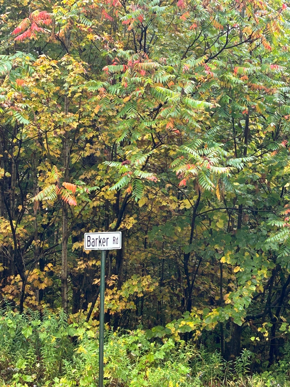 #1 photo, 0 North Road, Dolgeville , NY 13329