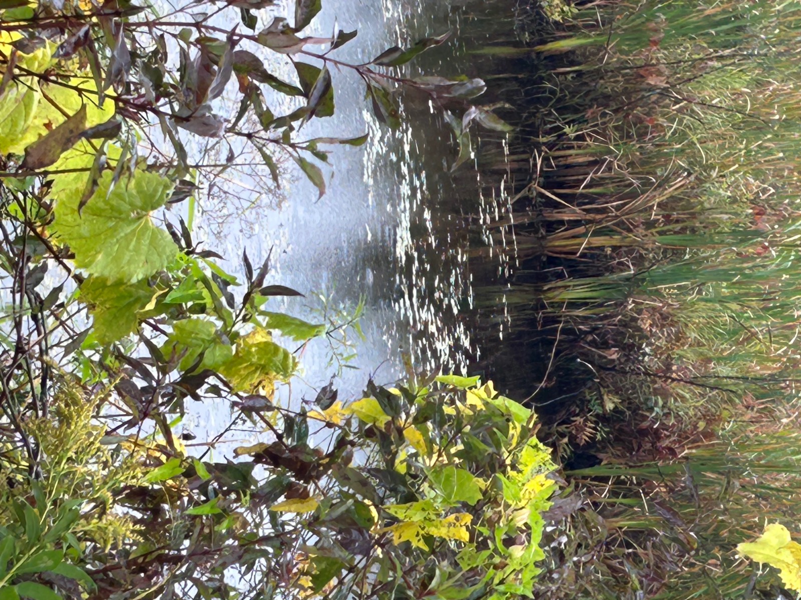 #4 photo, 0 North Road, Dolgeville , NY 13329