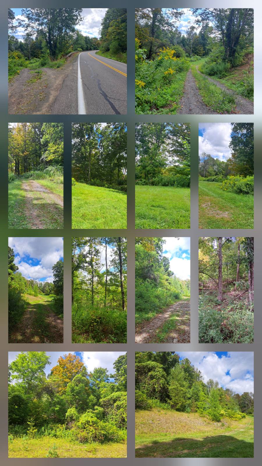 #1 photo, 0 County Route 17-between Georges and Taggart's properties, Bainbridge , NY 13733