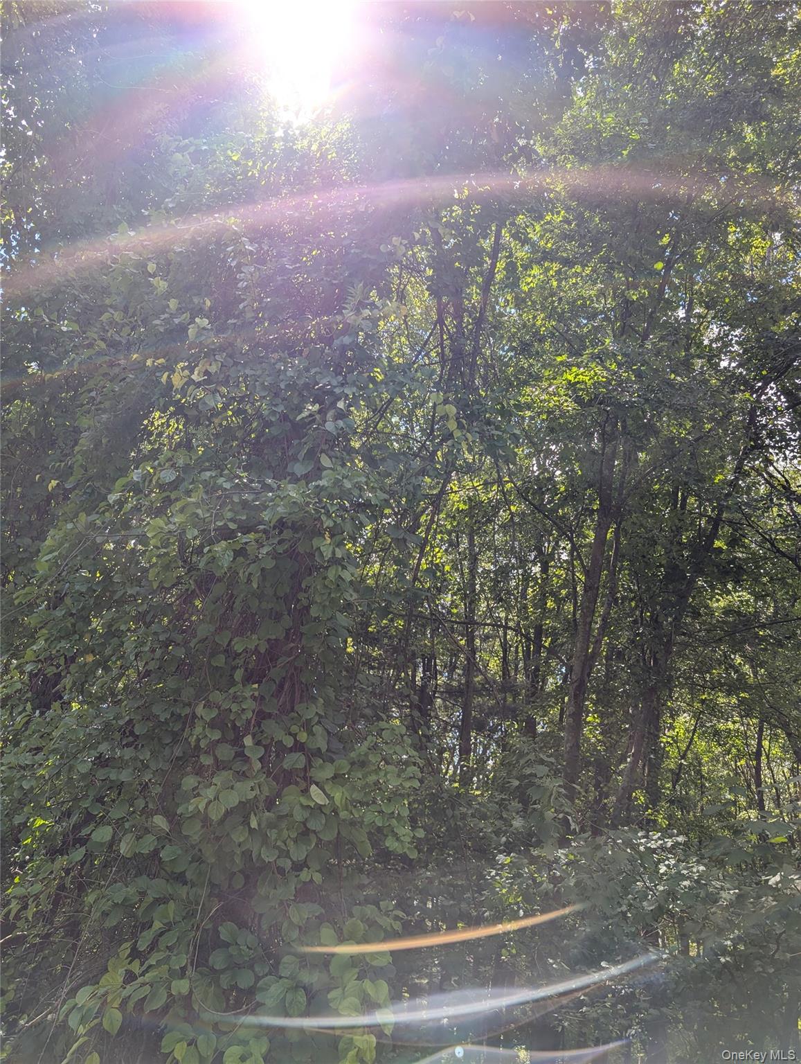 #12 photo, County Route 27, Ancram , NY 12502