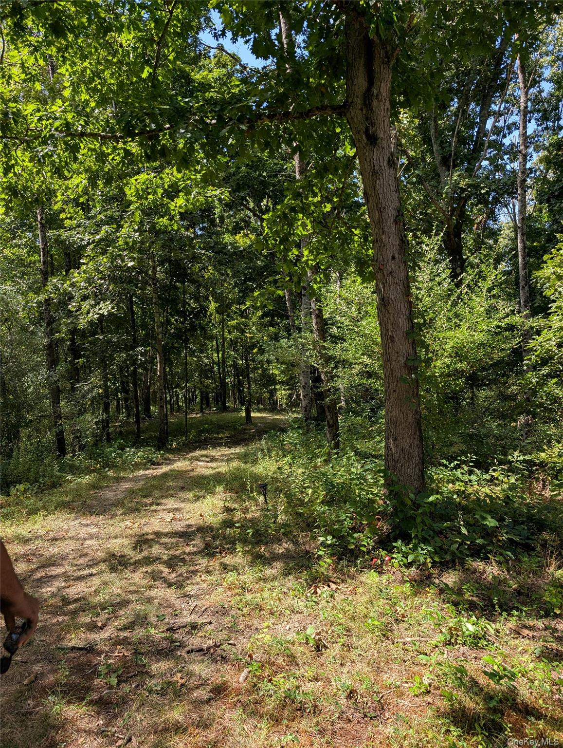 #14 photo, County Route 27, Ancram , NY 12502