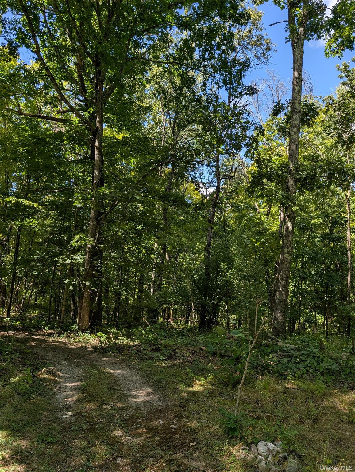 #15 photo, County Route 27, Ancram , NY 12502