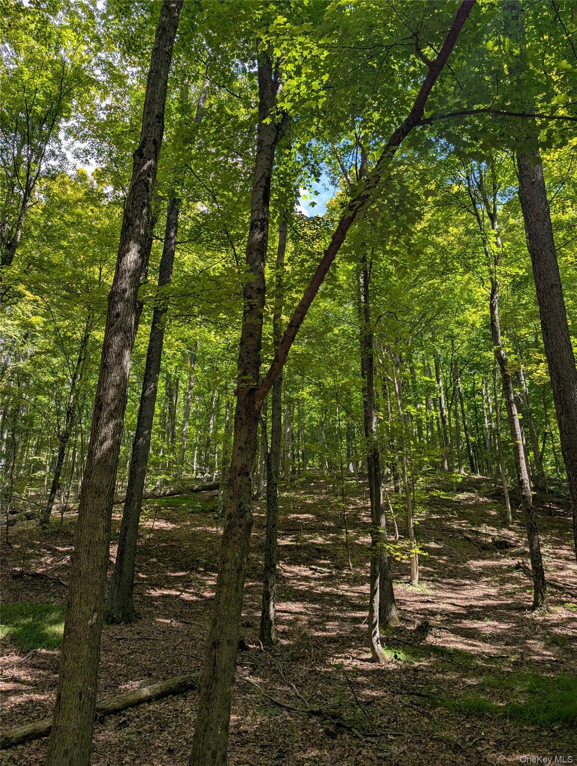 #3 photo, County Route 27, Ancram , NY 12502