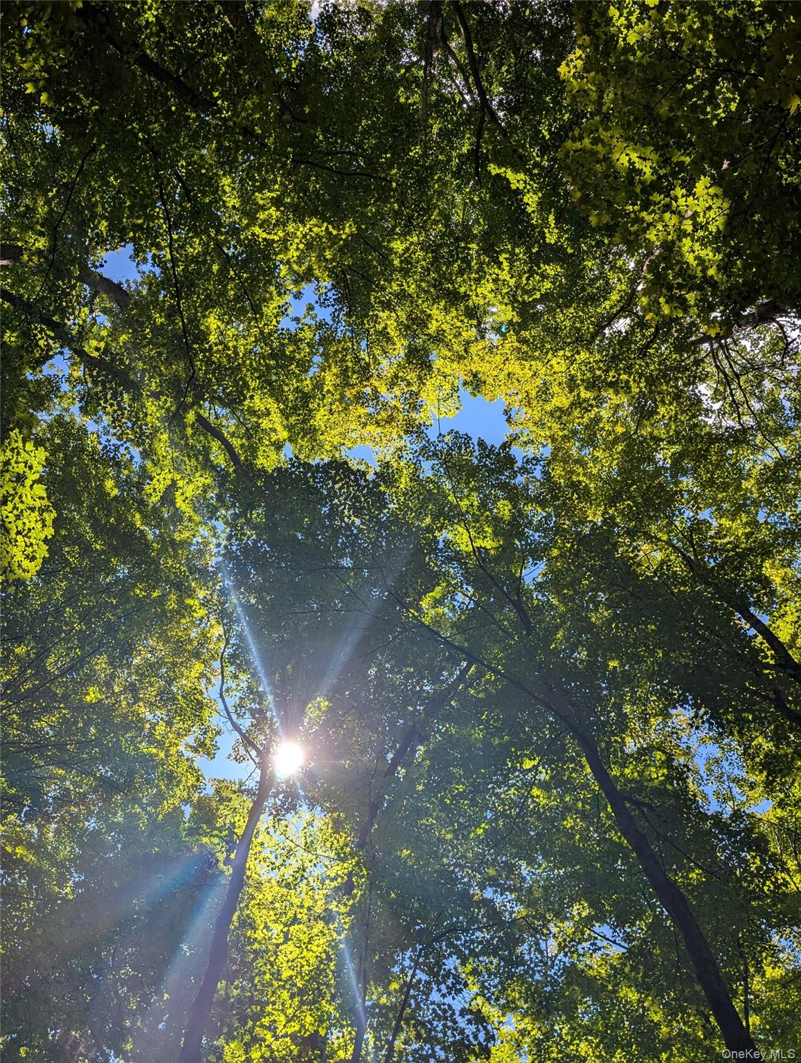 #4 photo, County Route 27, Ancram , NY 12502