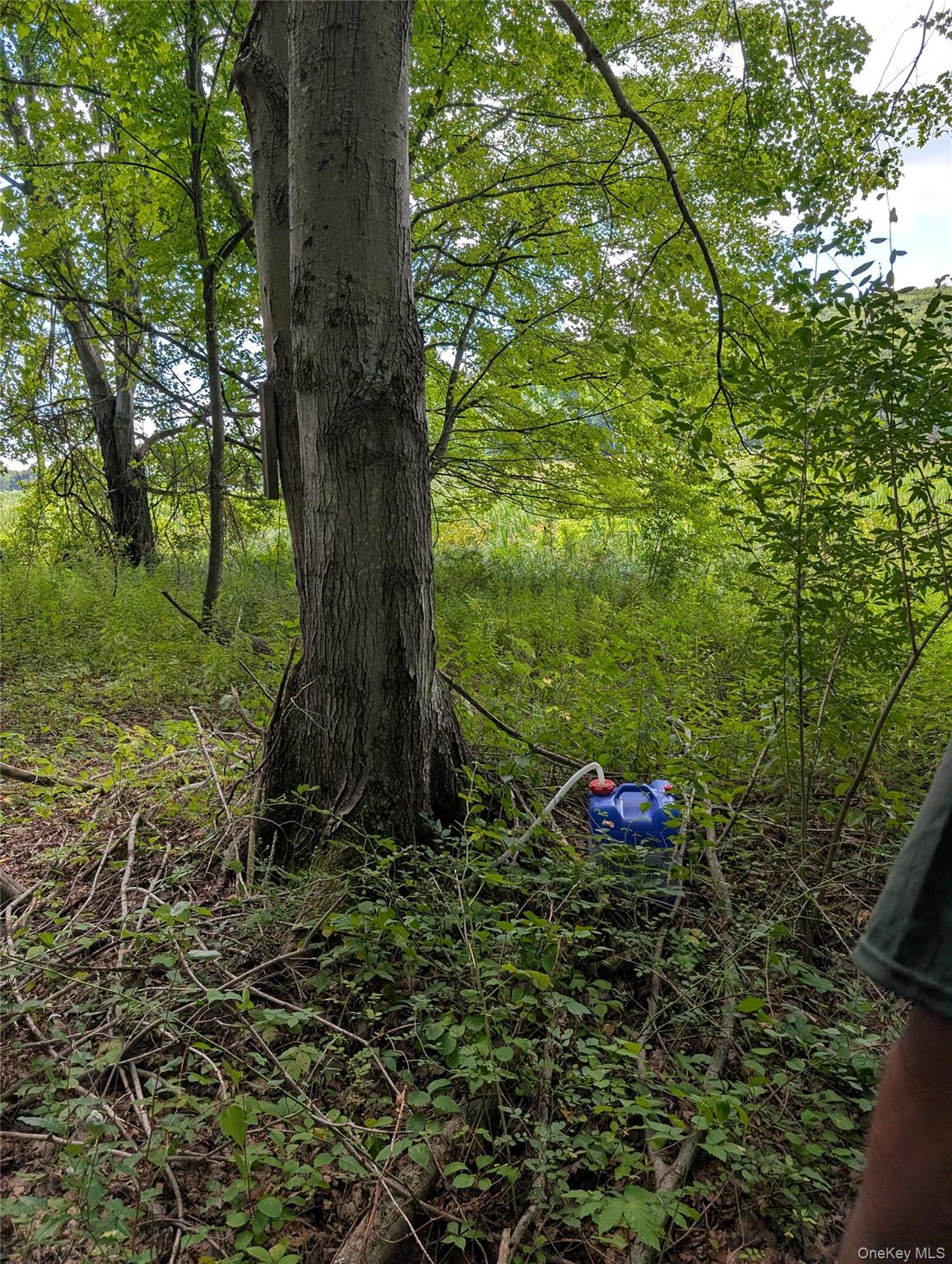 #3 photo, Cr-27, Copake , NY 12516