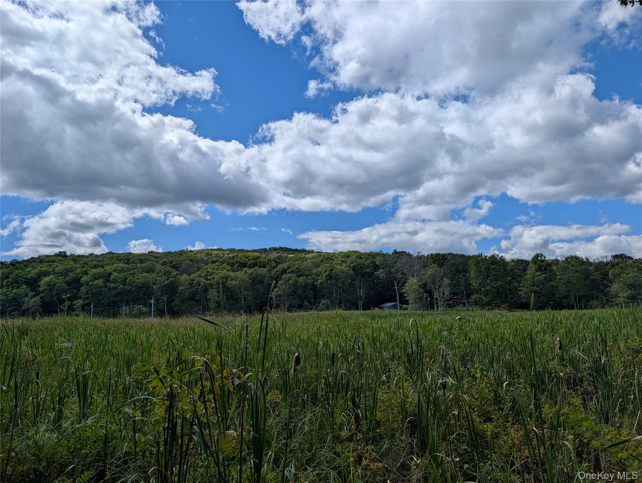 #4 photo, Cr-27, Copake , NY 12516