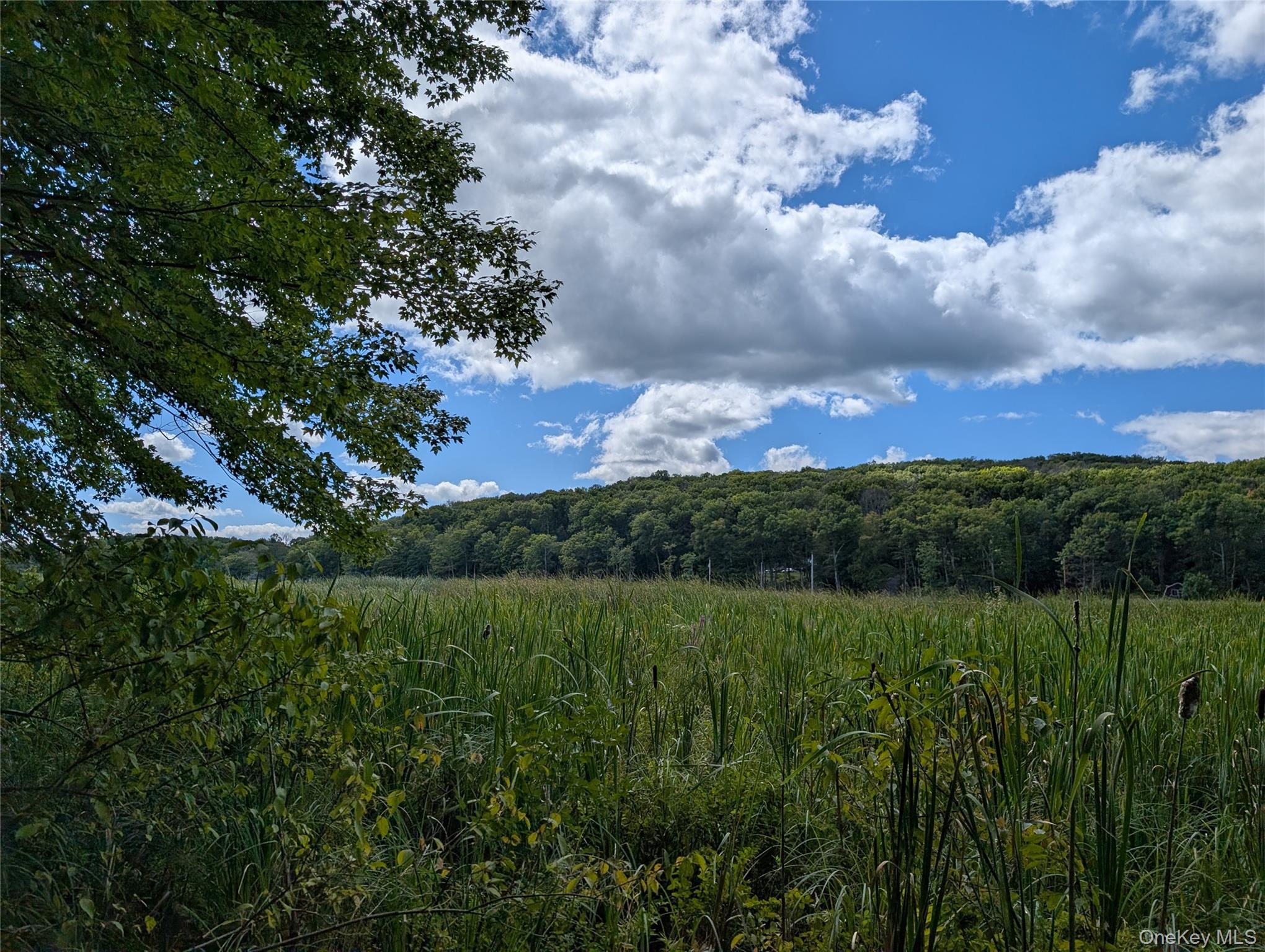 #5 photo, Cr-27, Copake , NY 12516