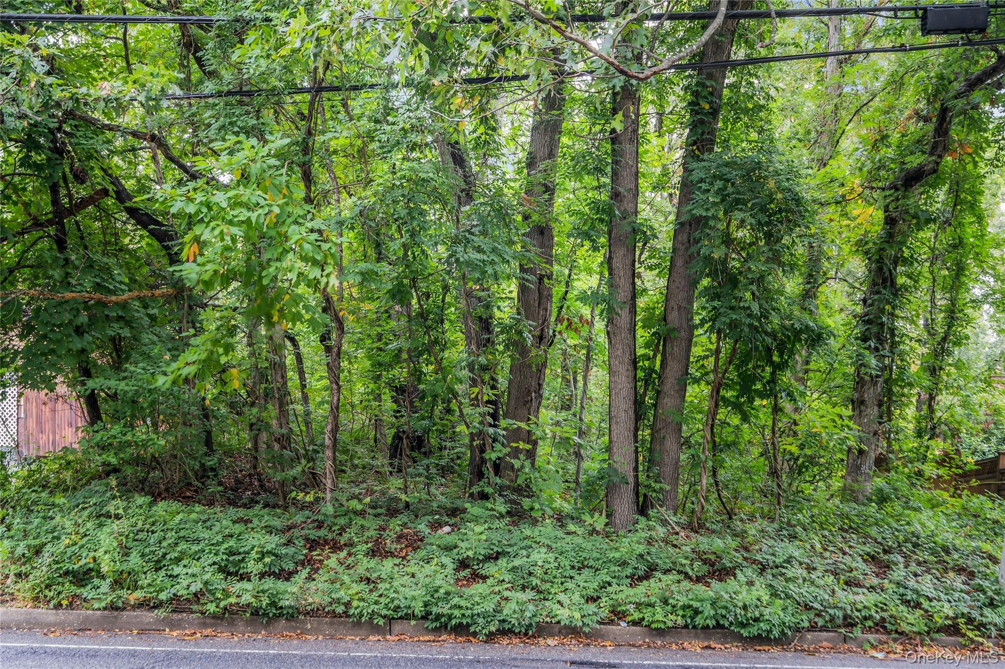 #3 photo, 769 Meadow Road, Smithtown , NY 11787